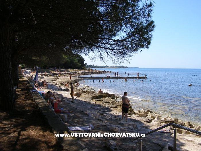 Apartmani San Pelegrin - Umag